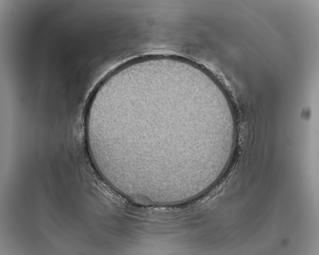 X0000097661167200803211913