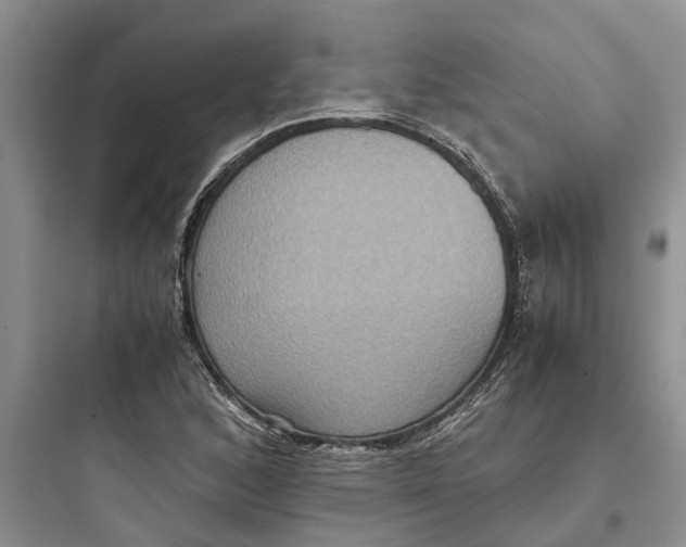 X0000097661168200803211913
