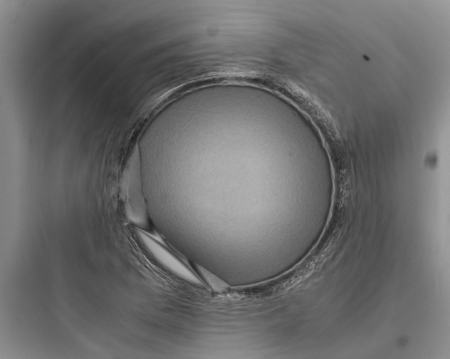 X0000097661169200803211913