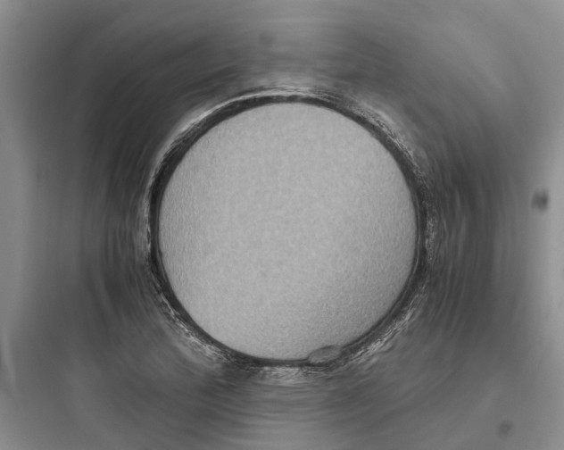 X0000097661172200803211912