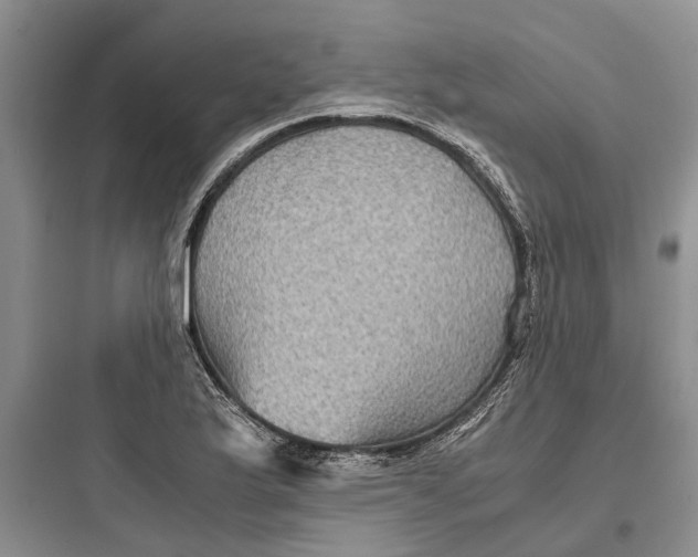 X0000097661175200803211912