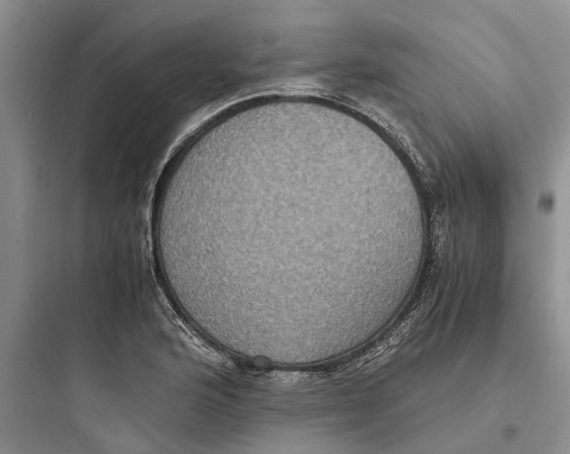 X0000097661176200803211912