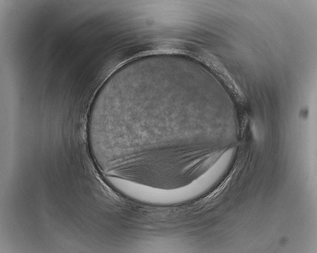X0000097661177200803211912