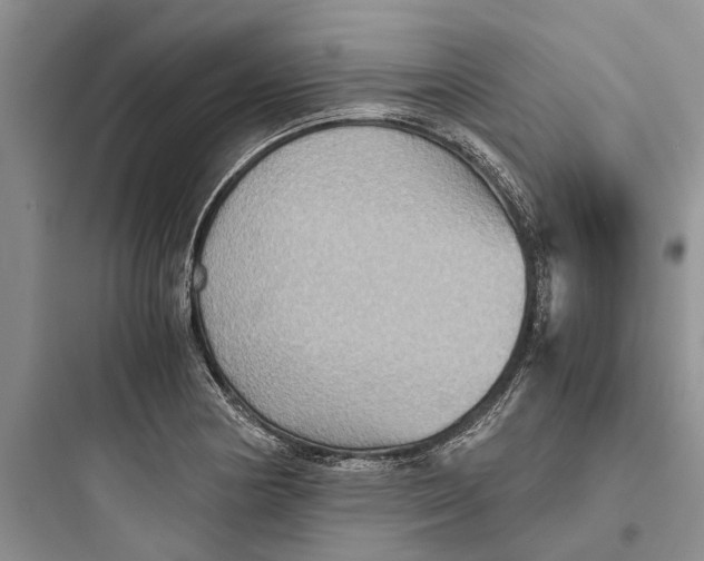 X0000097661178200803211912