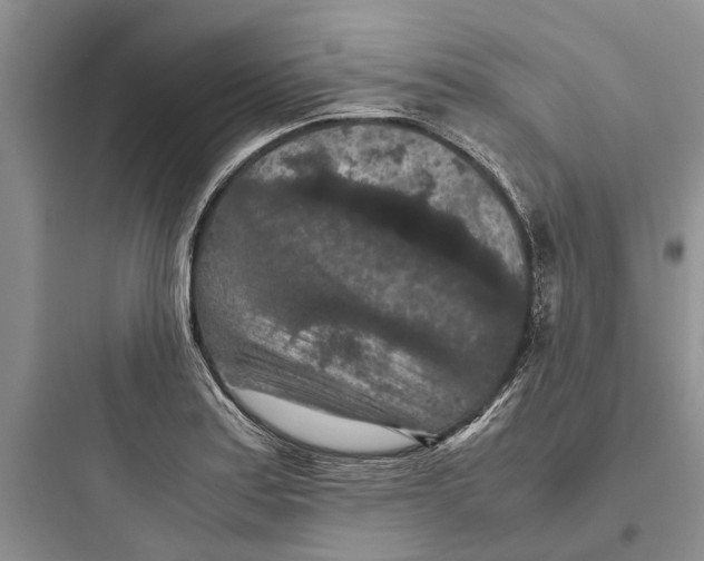 X0000097661179200803211912
