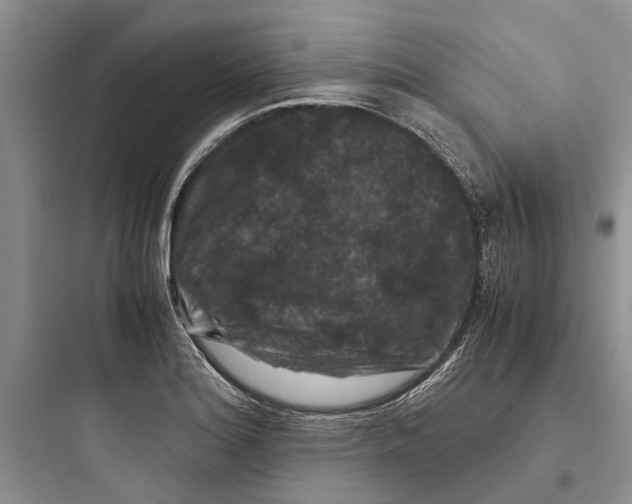 X0000097661180200803211912