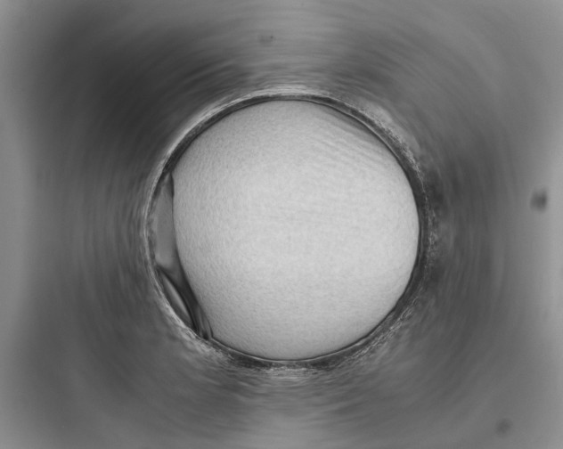 X0000097661181200803211912