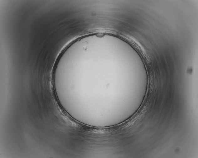 X0000097661182200803211912