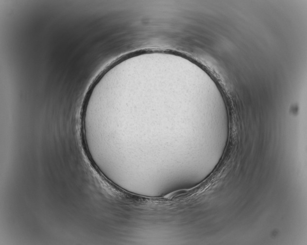 X0000097661183200803211912