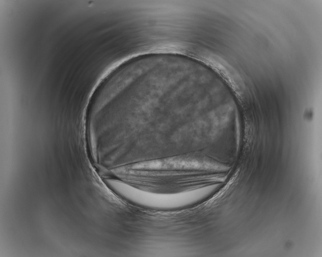 X0000097661184200803211912