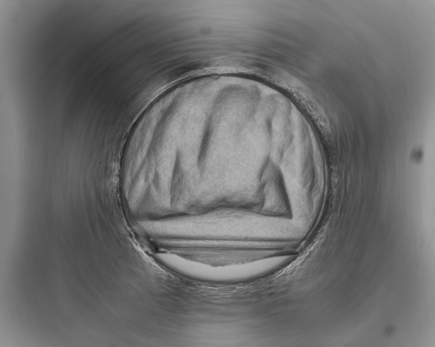 X0000097661185200803211912