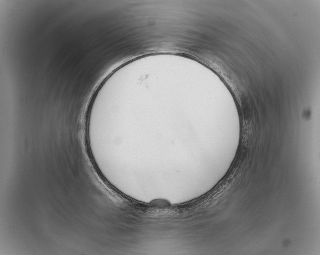 X0000097661187200803211912