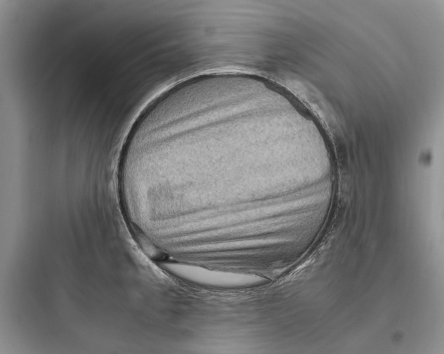 X0000097661189200803211912