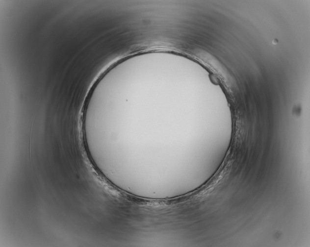 X0000097661190200803211912