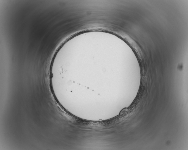 X0000097661191200803211912