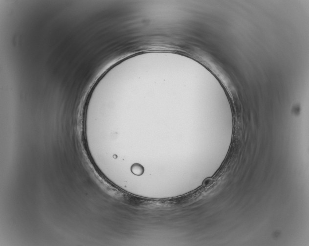X0000097661195200803211912