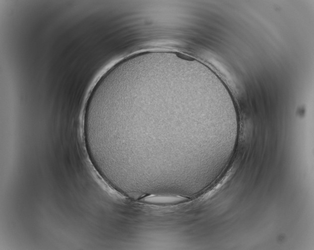 X0000097661196200803211912