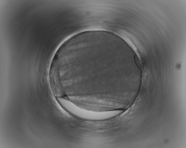 X0000097661197200803211912