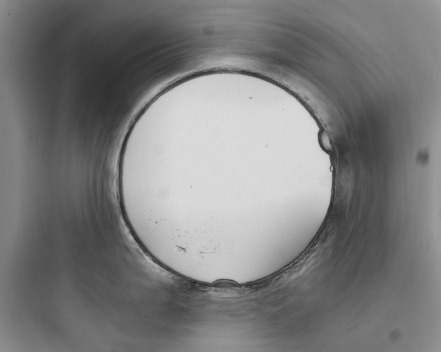 X0000097661199200803211912
