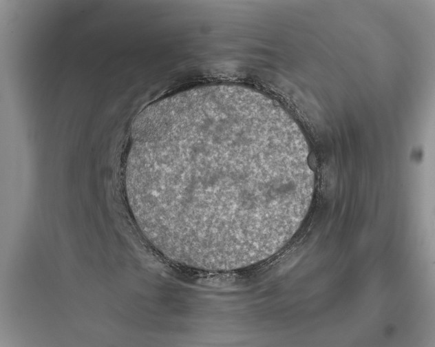 X0000097661201200803211911