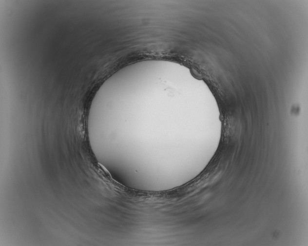 X0000097661202200803211911