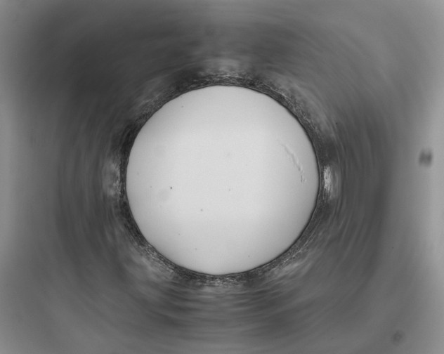 X0000097661203200803211911