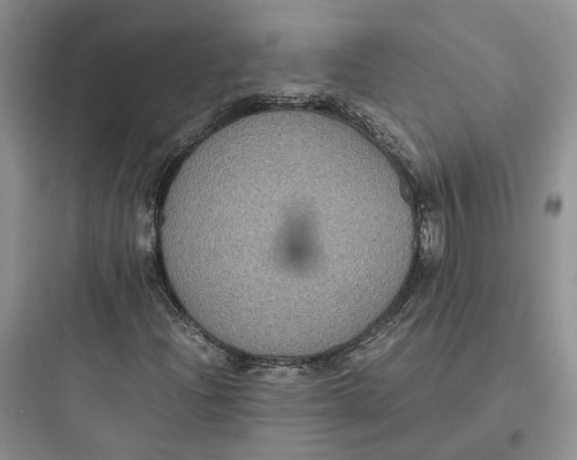 X0000097661204200803211911