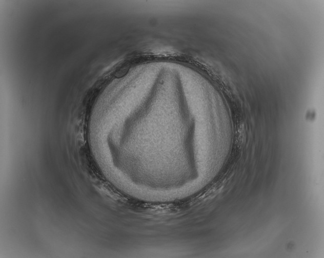 X0000097661205200803211911