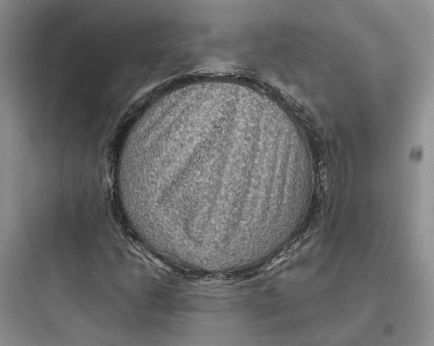 X0000097661206200803211911