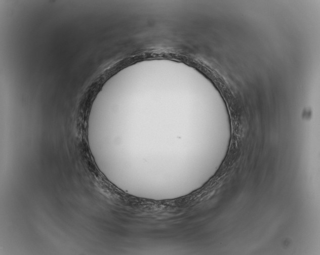 X0000097661207200803211912