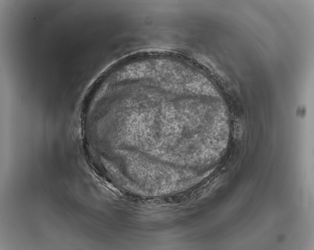 X0000097661208200803211912