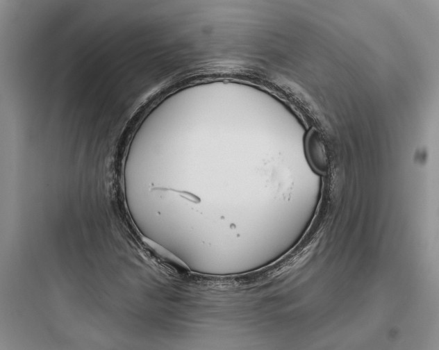 X0000097661210200803211912