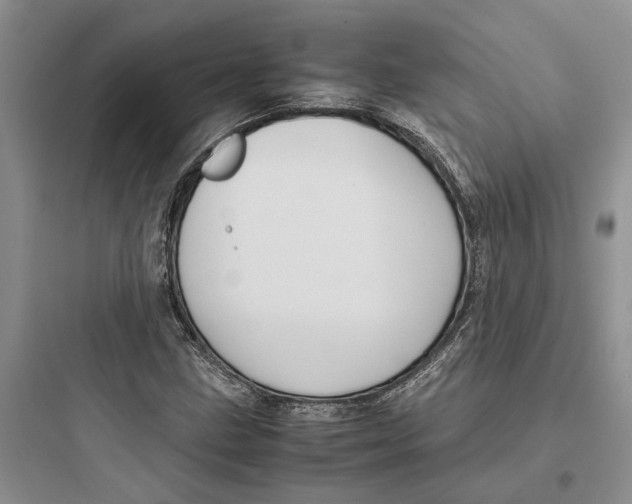 X0000097661211200803211912