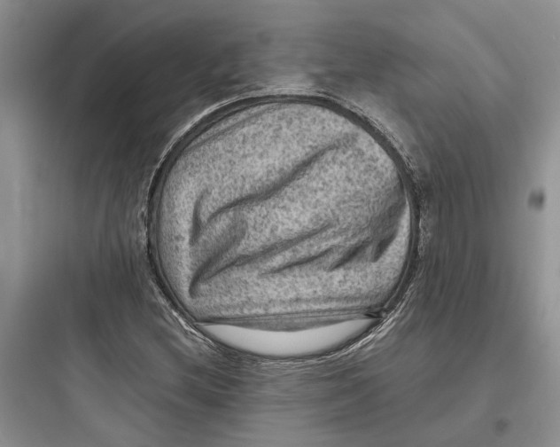 X0000097661212200803211912