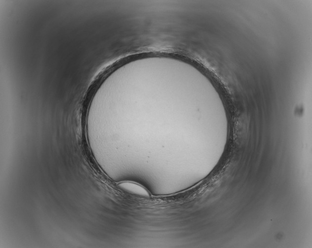 X0000097661214200803211912