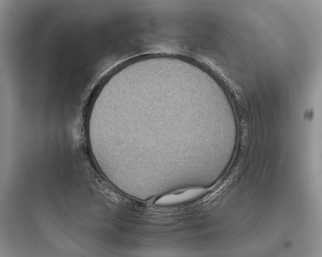 X0000097661215200803211912