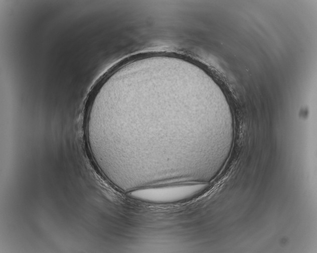 X0000097661216200803211912