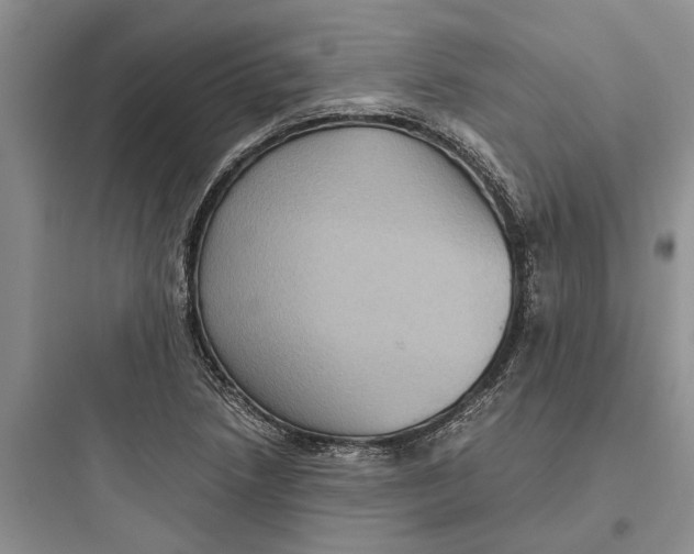 X0000097661218200803211912