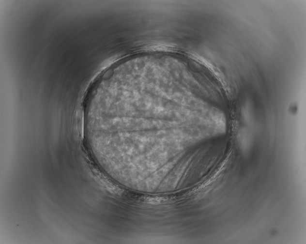 X0000097661219200803211912