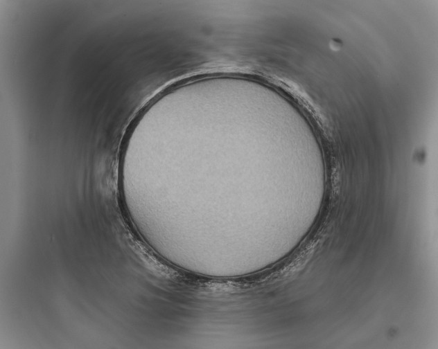 X0000097661220200803211912