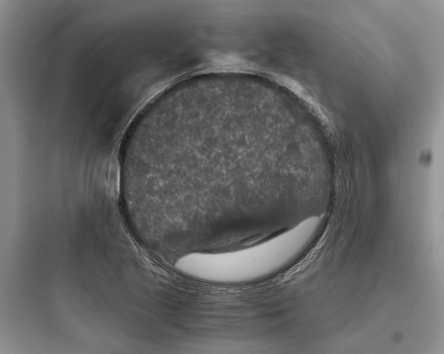 X0000097661221200803211912