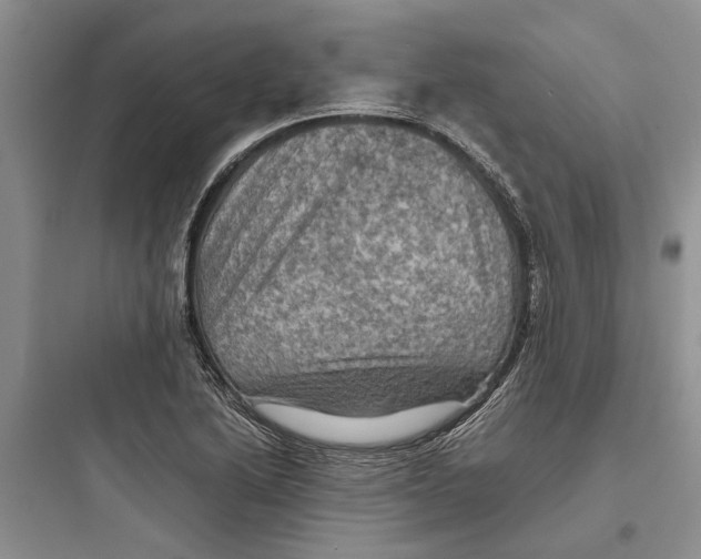 X0000097661222200803211912