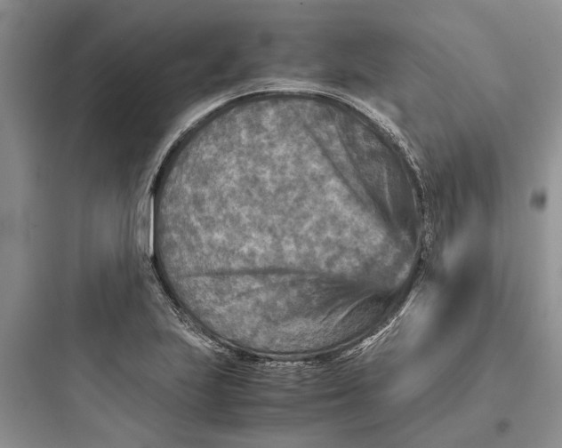 X0000097661223200803211912