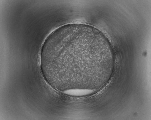 X0000097661224200803211912
