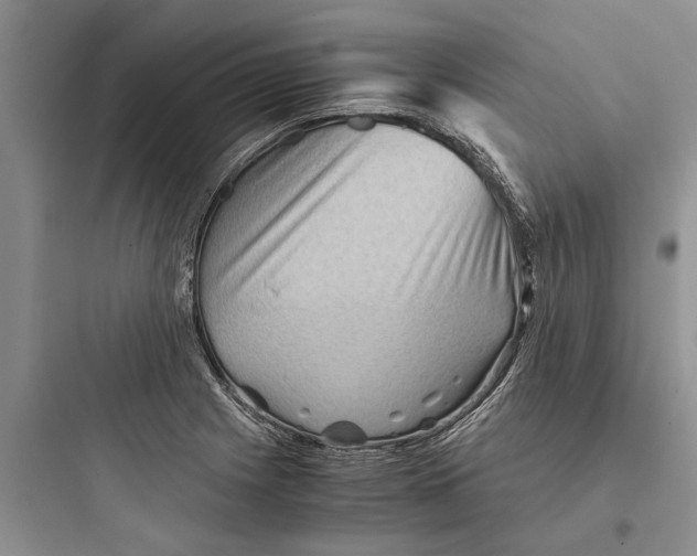 X0000097661225200803211912