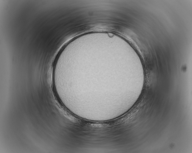 X0000097661227200803211912