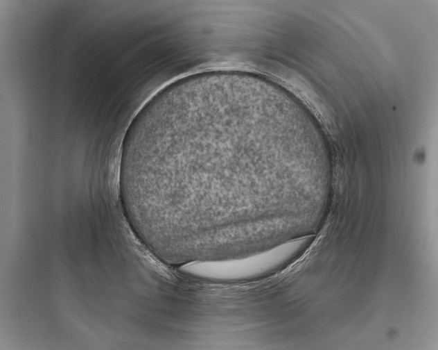 X0000097661228200803211912