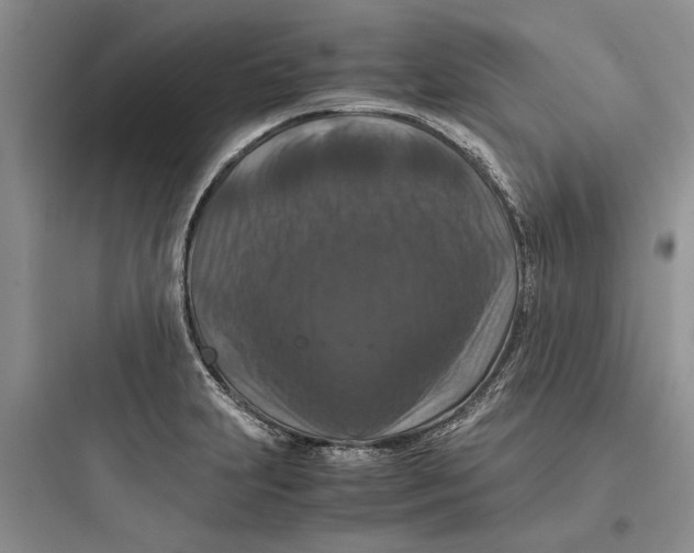 X0000097661231200803211912