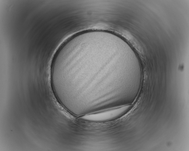 X0000097661232200803211912