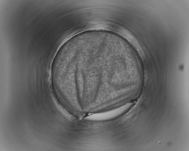 X0000097661234200803211912